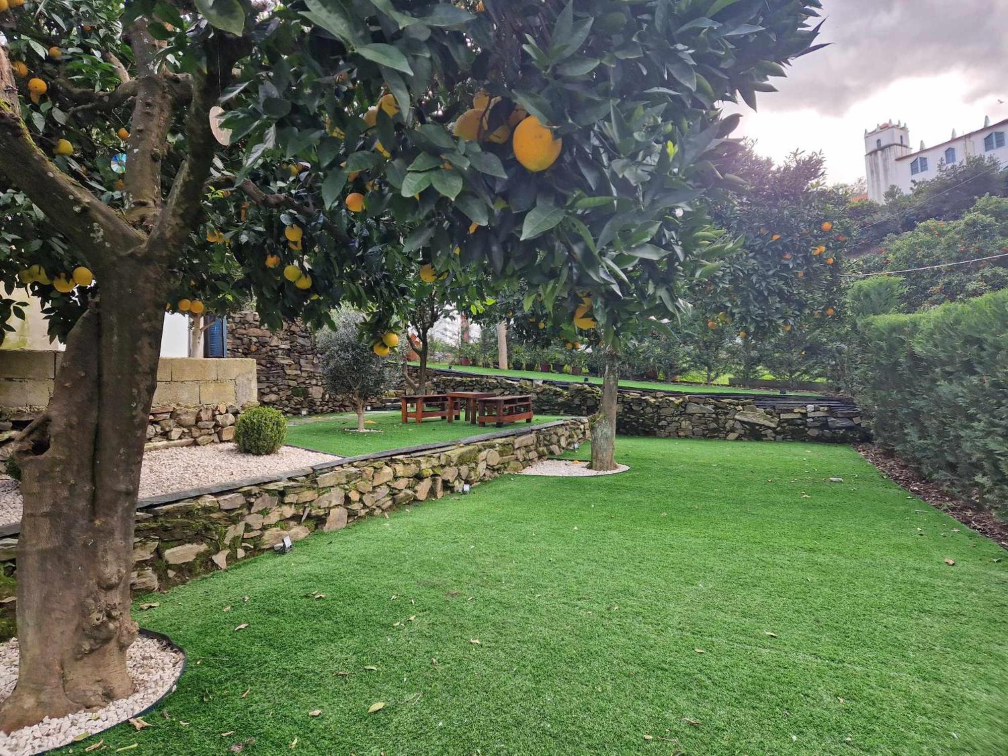 Villa Casa da Padaria Folgosa  Esterno foto