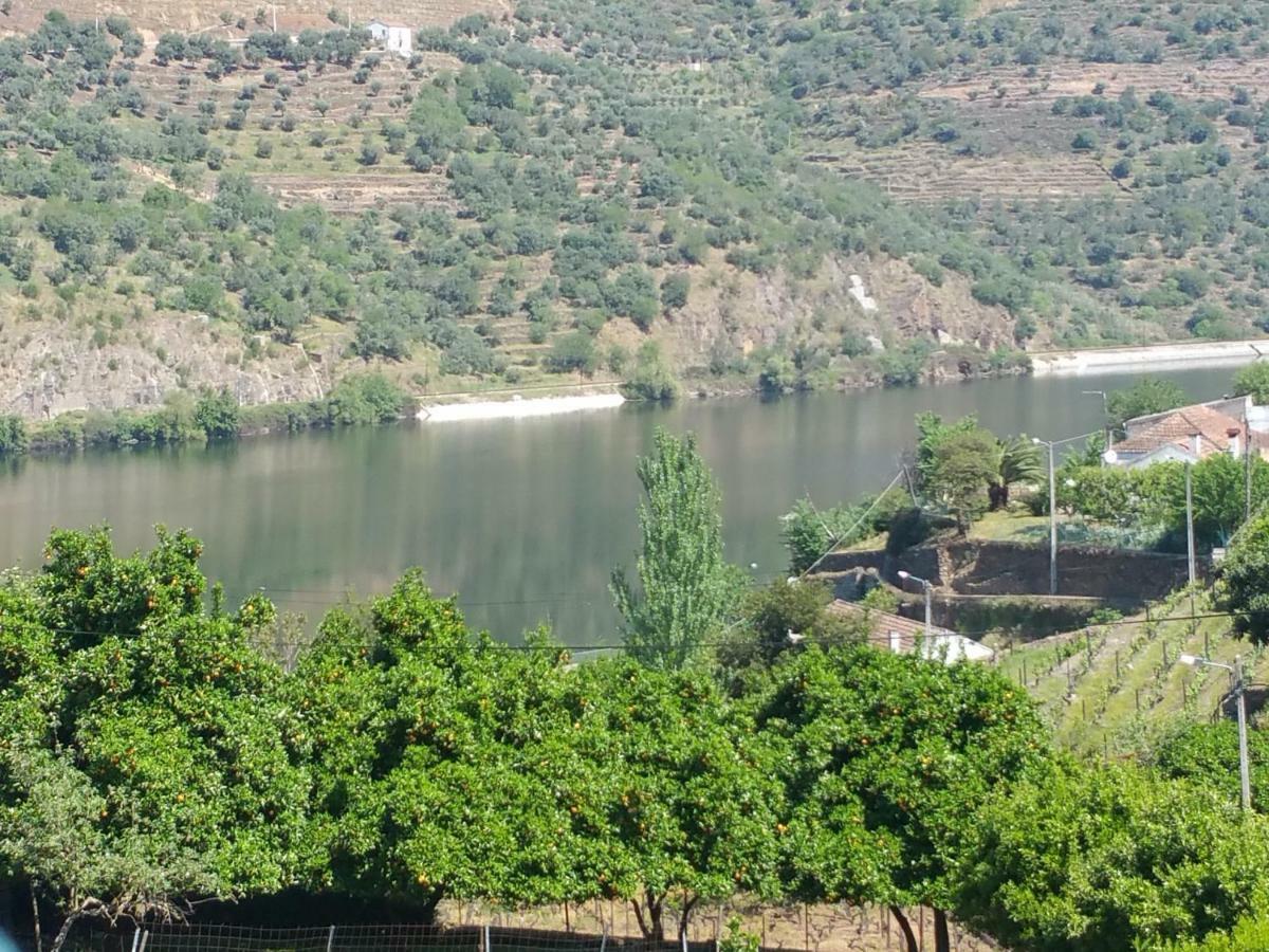 Villa Casa da Padaria Folgosa  Esterno foto